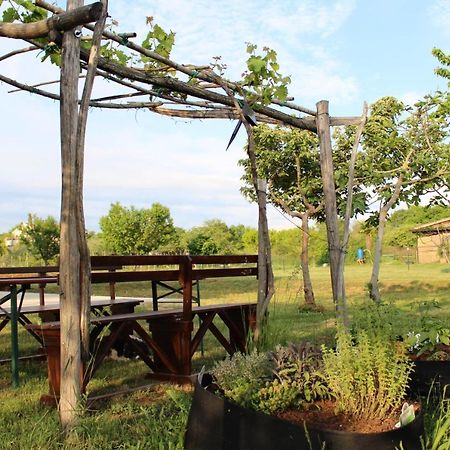 Apartment Karolina 1 Funtana Εξωτερικό φωτογραφία